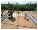 Lands For Sale In GALLE